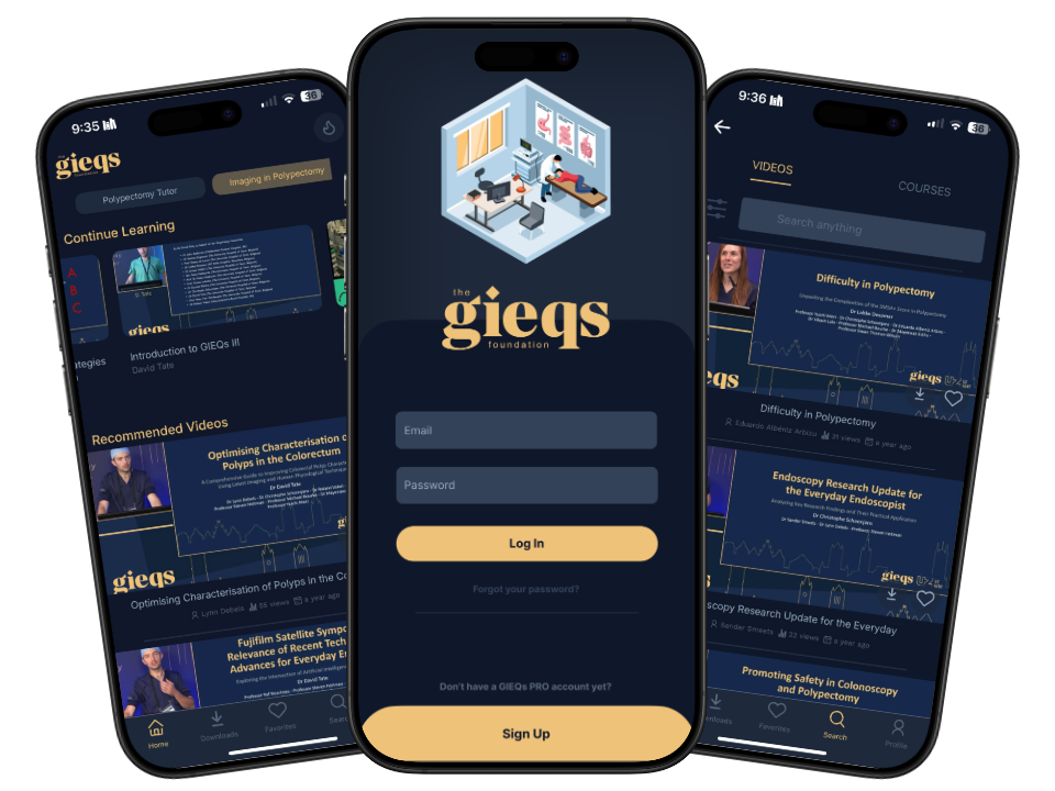 Screenshot of GIEQs Mobile App